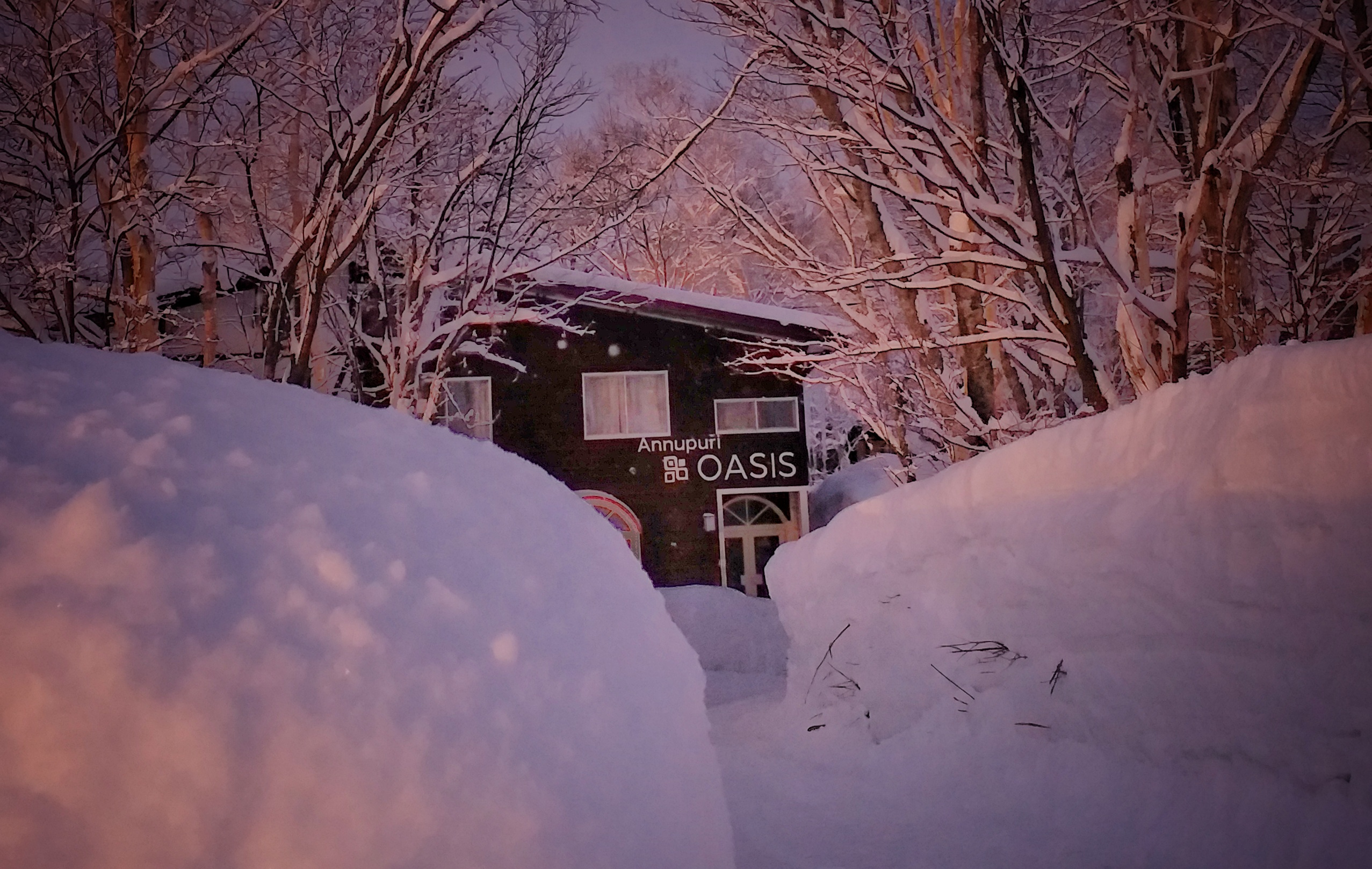 Annupuri Oasis Lodge, Hirafu, Niseko — Exterior