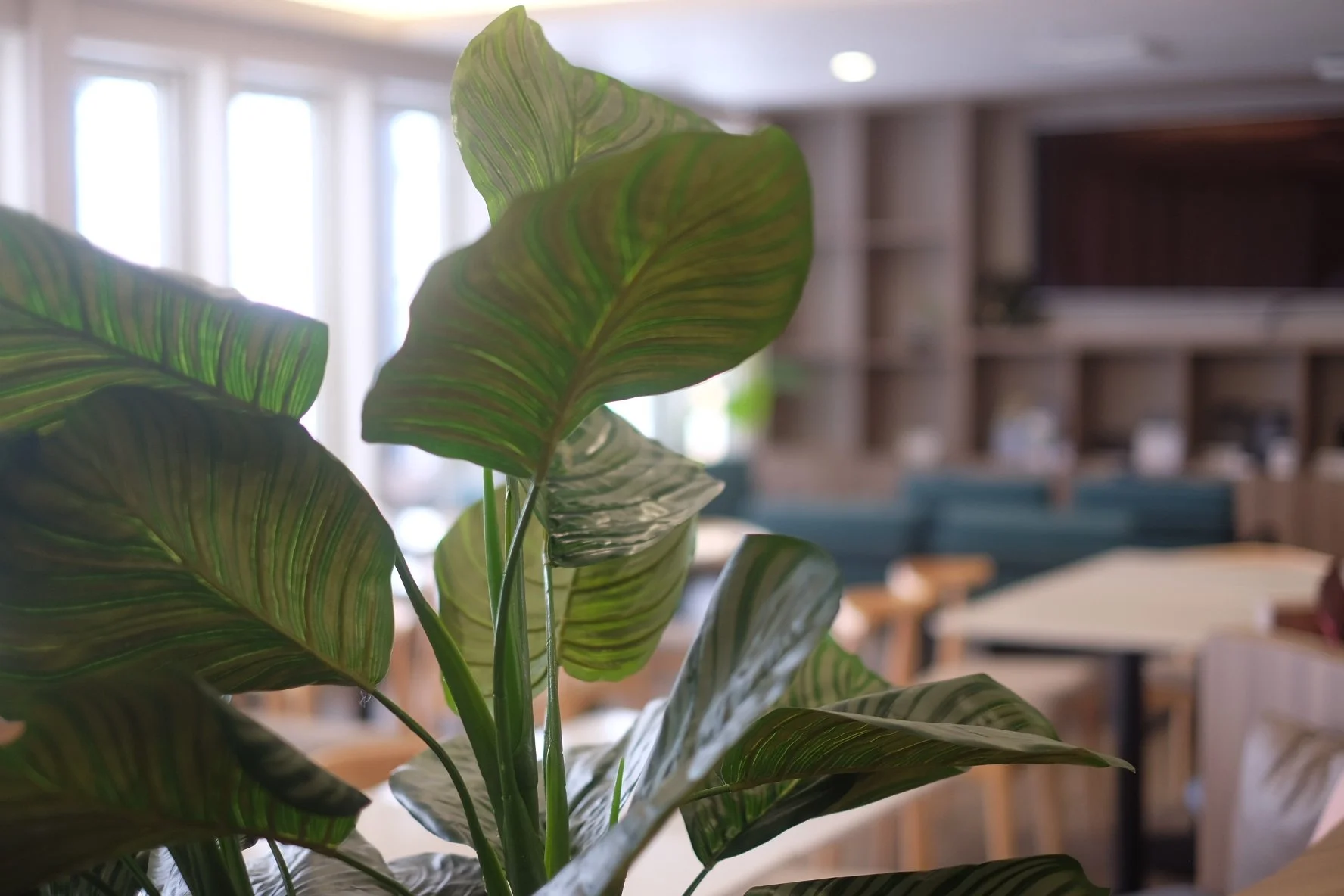 My Ecolodge, Hirafu, Niseko — 6